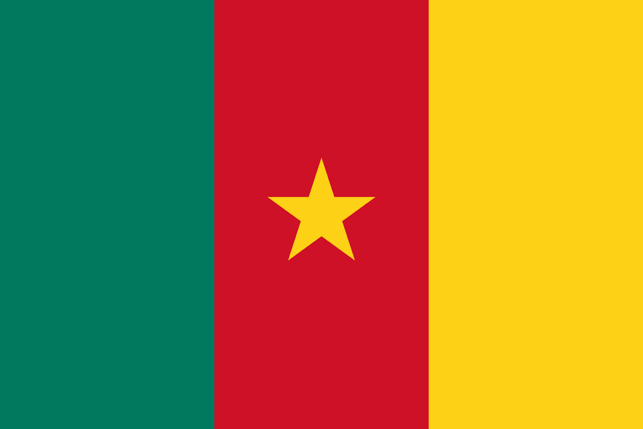 Kamerun bayrağı