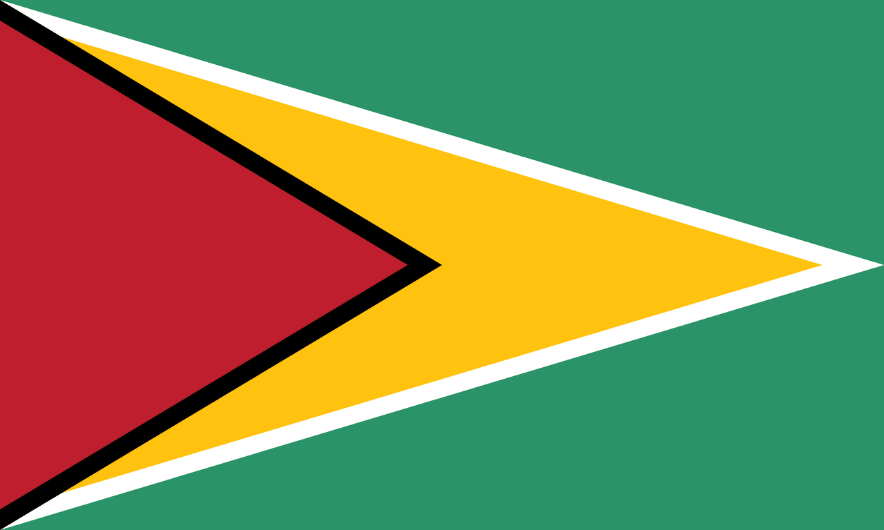 Guyana bayrağı