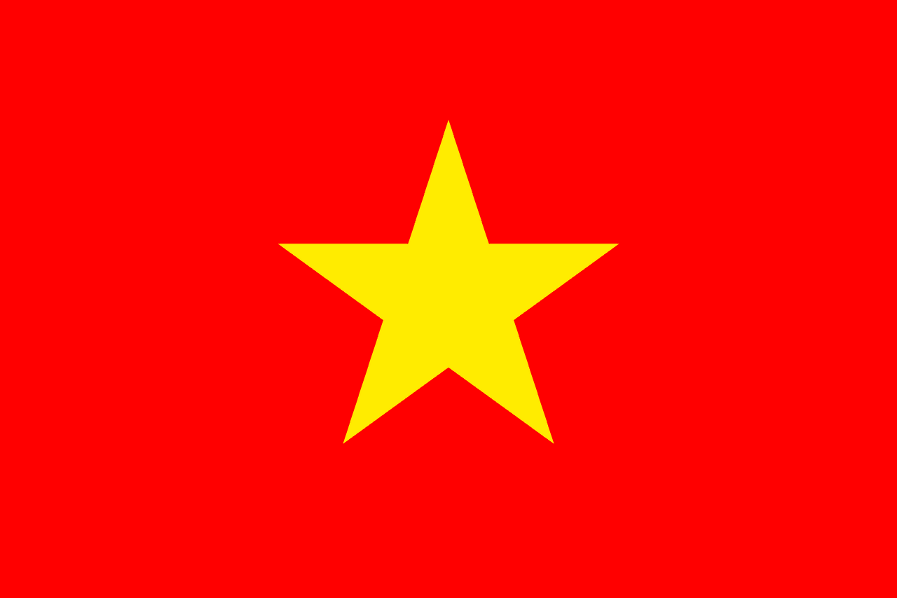Vietnam bayrağı