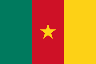 Kamerun bayrağı