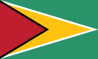 Guyana bayrağı