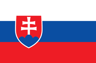 Slovakya bayrağı