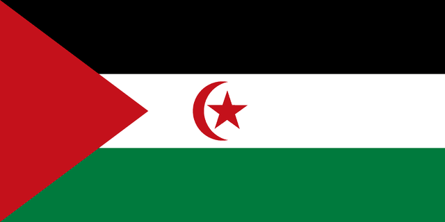 Batı Sahara bayrağı